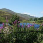 The Pentland Hills – A little taste of the highlands with easy city living.