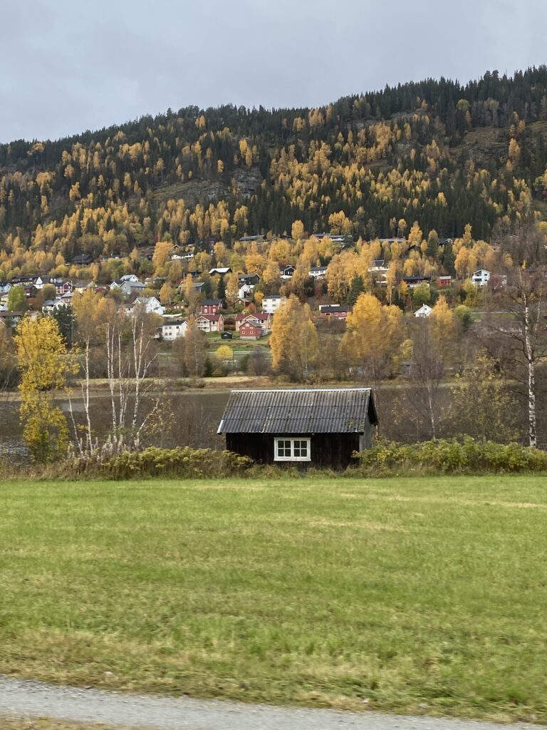 Stunning scenery of Oslo to Bergen Train Journey