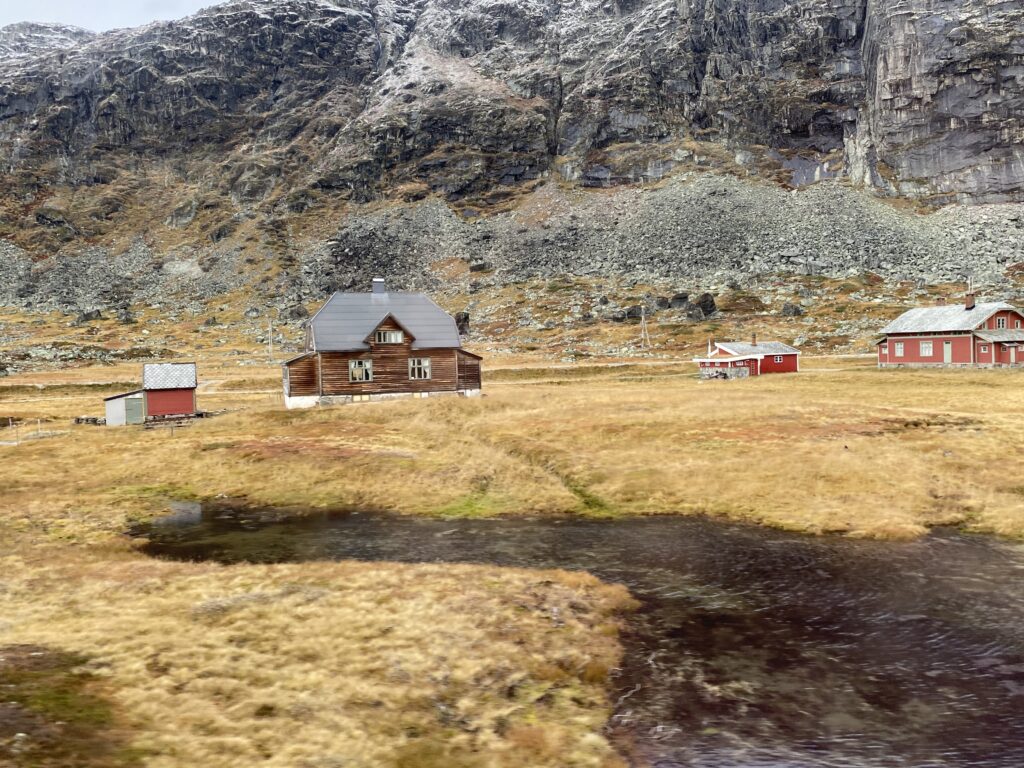 The landscape from the train journey from Oslo to Bergen