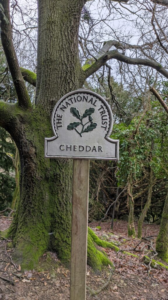 Cheddar Gorge